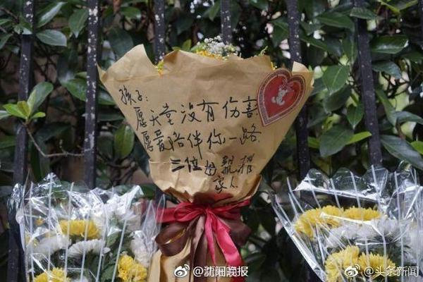 网络null是什么梗